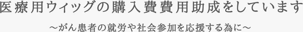 医療用ウィッグの購入費費用助成をしています